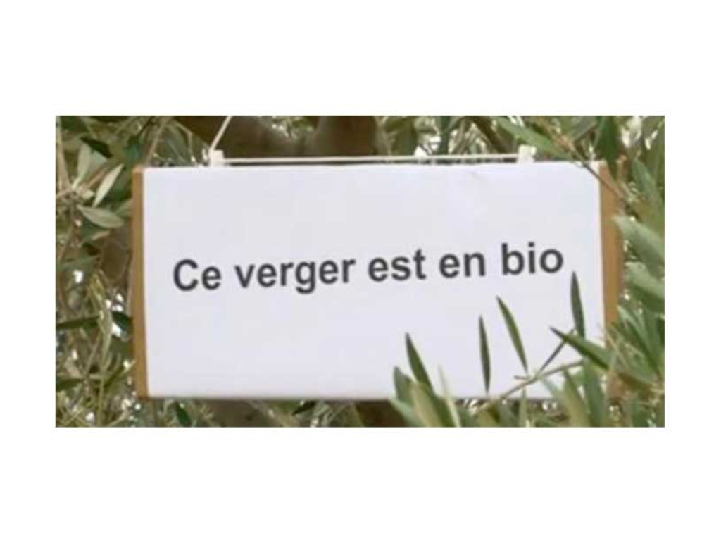 CultureBio